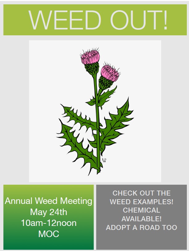 annualWeedOut