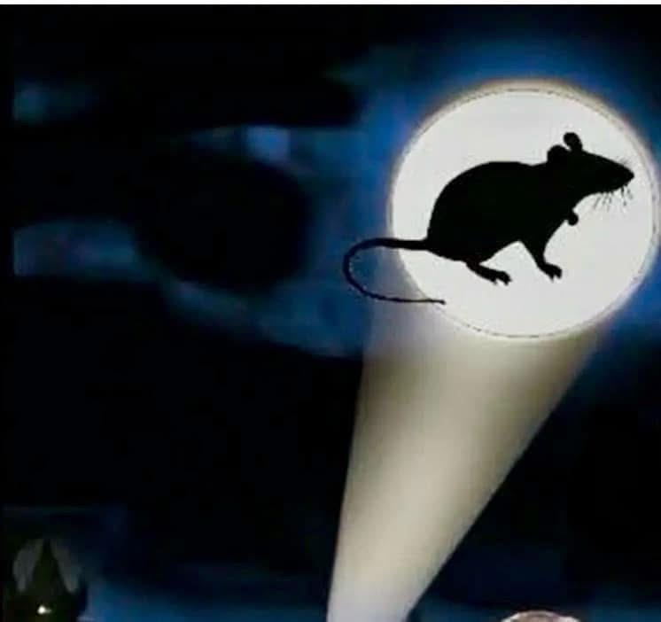 ditch rat logo
