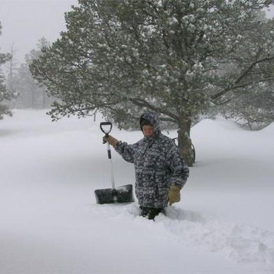 Blizzard 2003